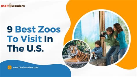9 Best Zoos To Visit In The Us Chef Wonders