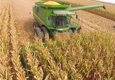 Global Corn Combine Harvester Machine Worldwide Market Reports