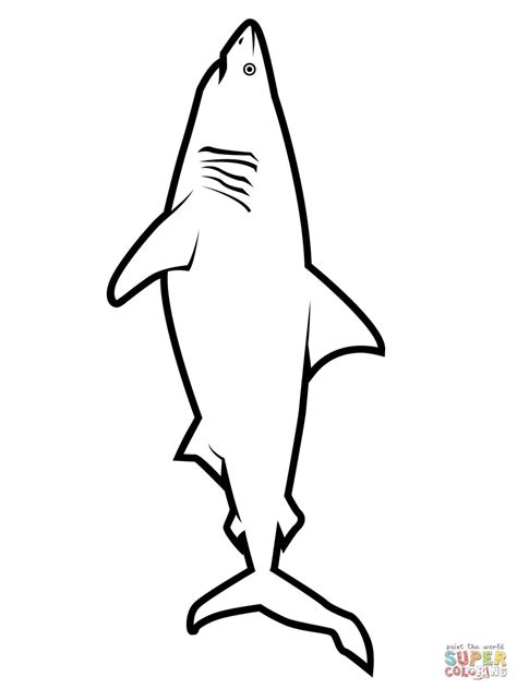 Free Printable Great White Shark Coloring Pages Free Printable