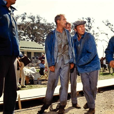 Cool Hand Luke 1967 Paul Newman George Kennedy Strother