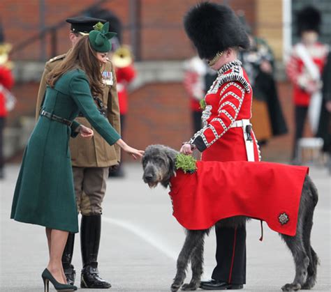 Dlisted Open Post Hosted By Duchess Kate And An Irish Wolfhound On