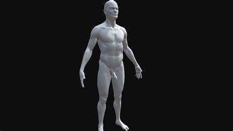 Human Male Body Free Downloadable Download Free 3d Model By