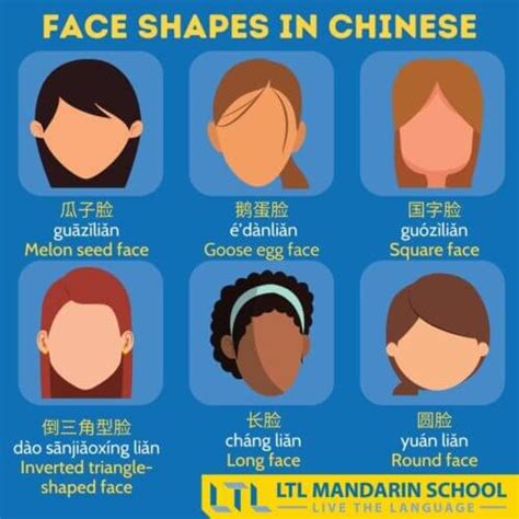 Chinese Face Shapes In Mandarin Ltl School