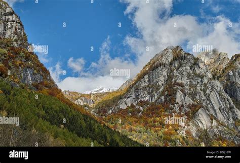 Mountain Multicolor Woods In Autumn Season Lake In Val Di Mello Val