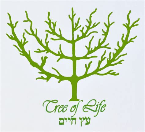 Tree Of Life Christian Fellowship Donaghadee The Churchpage
