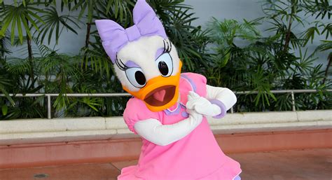Daisy Duck Images Mickey Mouse Pictures
