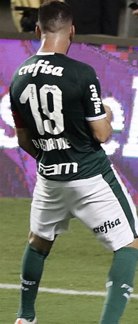 Pin De Sergio Em Palmeiras