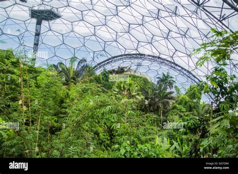 The Rainforest Biome Of The Eden Project In Cornwall England Stock
