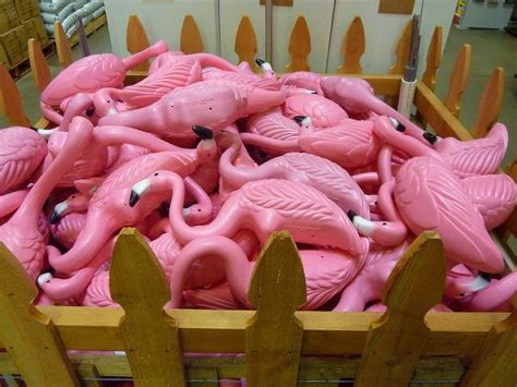 Pink Flamingo Toys Free Image Download