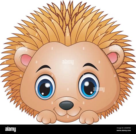 Vector Illustration Of Cute Baby Hedgehog Isolated On A White