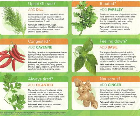 The Informing Observer • 10 Herbs That Heal