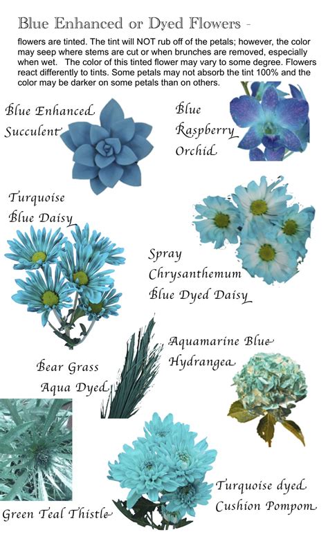 Flower Names By Color Flower Names Blue Flower Names