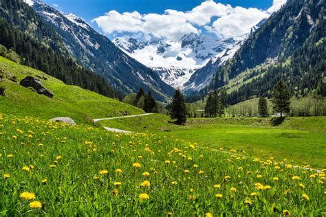 Central Eastern Alps Stock Photos Pictures And Royalty Free Images Istock