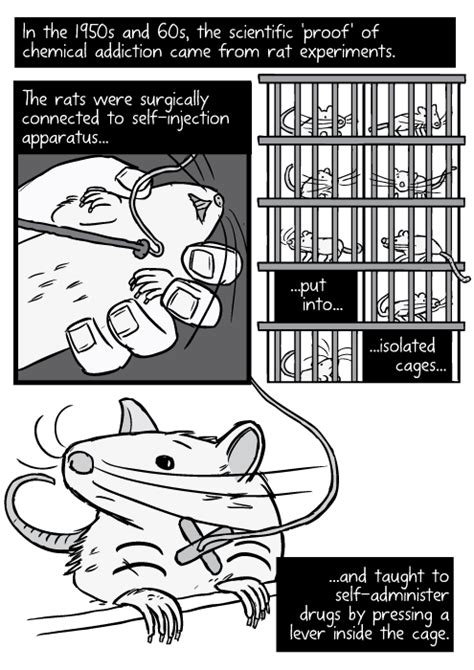 Rat Park Drug Experiment Comic Stuart Mcmillen Comics