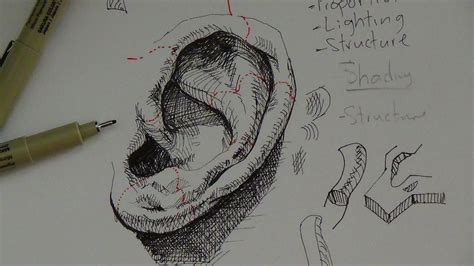 Subjects with pen and ink is a collection of 31 pen and ink drawing lessons on a variety of subjects (objects, flowers, food, animals, landscape the pen and ink experience is a comprehensive drawing course designed to guide absolute beginners to a level of producing professional quality pen. Pen & Ink Drawing Tutorials | How to draw a realistic ear ...
