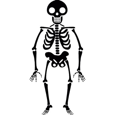 Spooky Skeleton Png