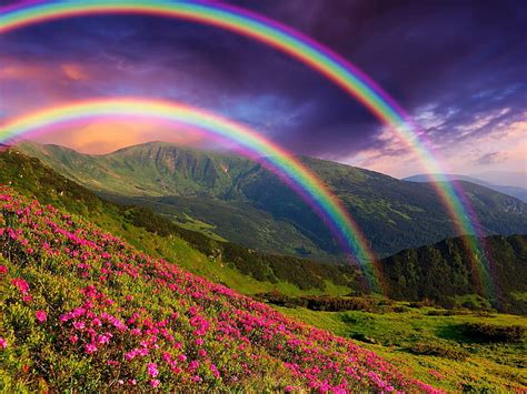Hd Wallpaper Nature Landscape Mountains Flowers Rainbow Wallpaper