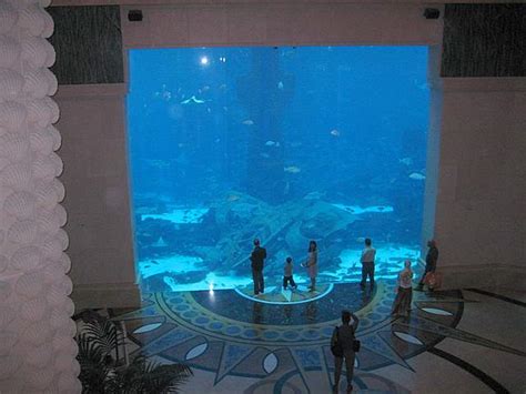 Atlantis Aquarium The Palm