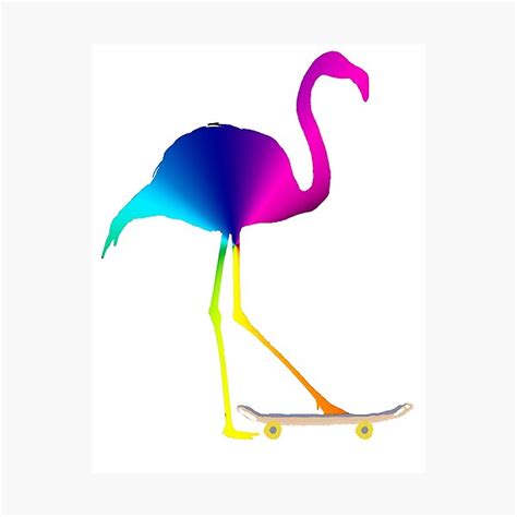 Rainbow Flamingo On Skateboard Photographic Print By Artydoc Redbubble