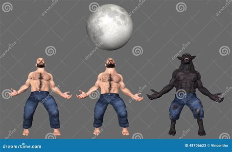 Man To Wolf Werewolf Transformation Illustration Stock Image