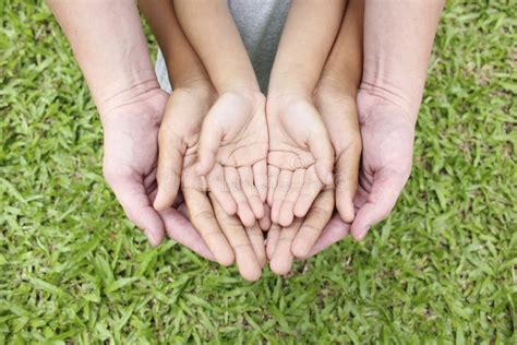 Adult Hands Holding Kid Hands Stock Image Image Of Connection