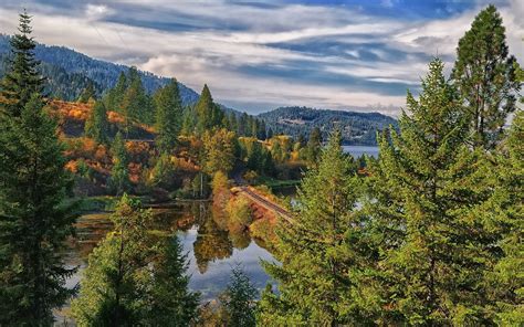 Nature Landscapes Lakes Trees Forest Autumn Fall Woods Railroad