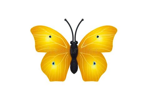 Beautiful Yellow Butterfly Stock Photo Image Of Animal 224300742