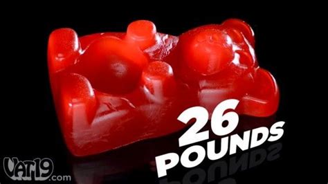Giant 26 Pounds Party Gummy Bear With Built In Tummy Bowl 100 Edible