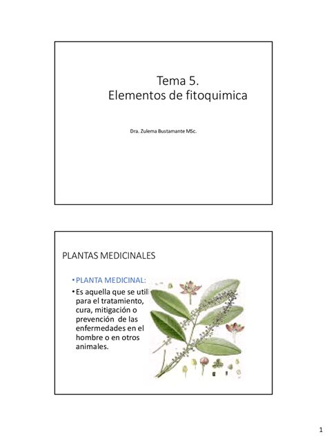 Diapositivas Tema 5 Farmacología Docsity