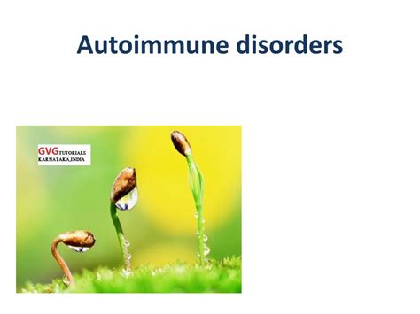 Ppt Autoimmune Diseases Powerpoint Presentation Free Download Id