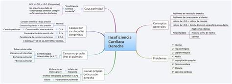 Mind Maps De Medicina Insuficiencia Cardiaca Derecha