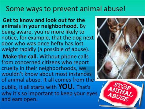 Ppt Animal Abuse Powerpoint Presentation Free Download Id2127387