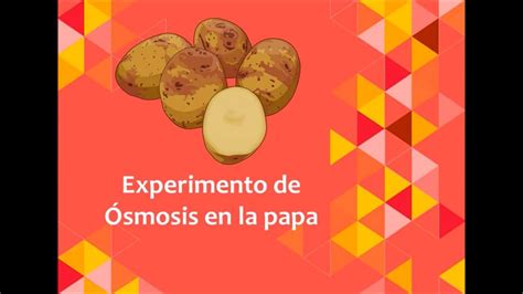 Experimento De Smosis En La Papa Youtube