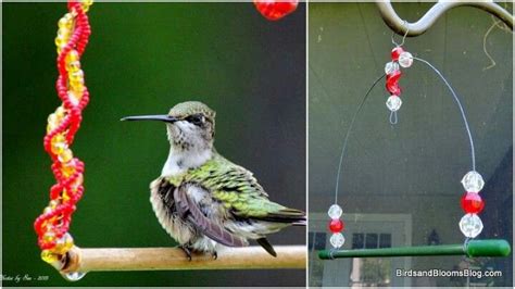 Bird seed ornament, ornament, do it yourself, make, make it yourself, fun, family, winter, homemade. Pin by April Hopey on DIY Crafts | Humming bird feeders, Bird seed ornaments, Hummingbird swing