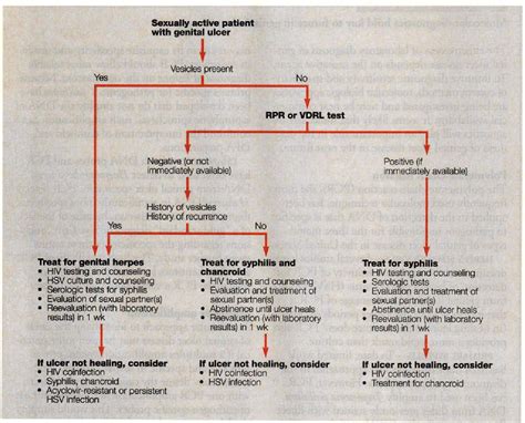 Figure 1 From Genital Ulcer Disease Semantic Scholar