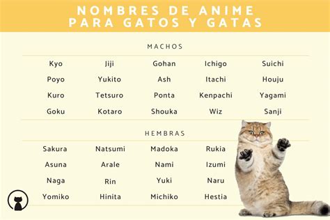 170 Nombres Para Gatos De Anime ¡machos Y Hembras