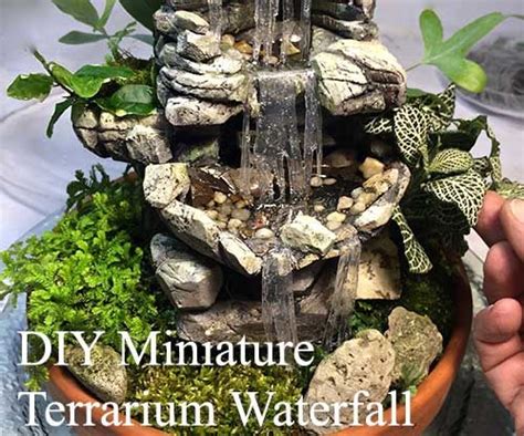 We did not find results for: DIY Miniature Terrarium Waterfall : 7 Steps (with Pictures) - Instructables