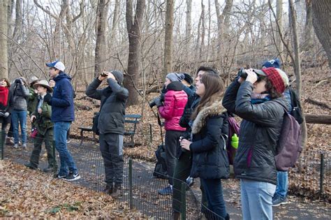 Recapping The 120th Central Park Audubon Christmas Bird Count Nyc Audubon