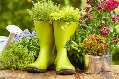 Reveals Most Common Gardening Season Consumer Complaints