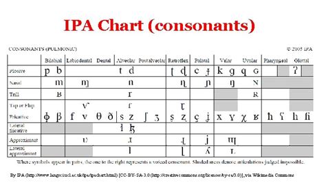Nlp Introduction To Nlp Linguistics Ipa Chart Consonants