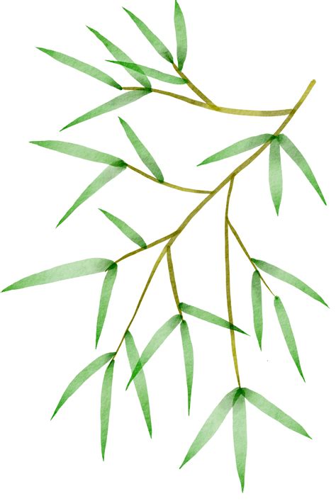 Cutout Bamboo Leaf Simplicity Watercolor Painting 13441584 Png