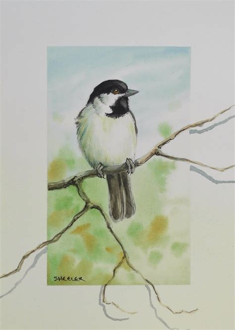 Chickadee 5x7 Watercolour Peter Sheeler Flickr