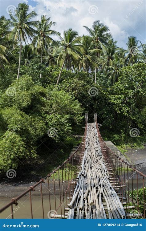Suspended Bamboo Floored Bridge Leading To The Jungle In The