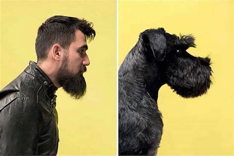 Say What Study Finds That Men With Beards Carry More Germs Than Dog Fur