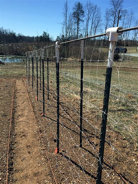 How To Build Tomato Trellis Change All The Post To Pvc As A Watering