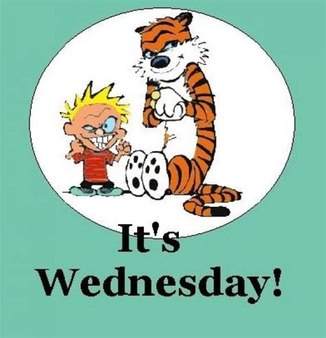 Wednesday Humor Morning Quotes Funny Calvin And Hobbes