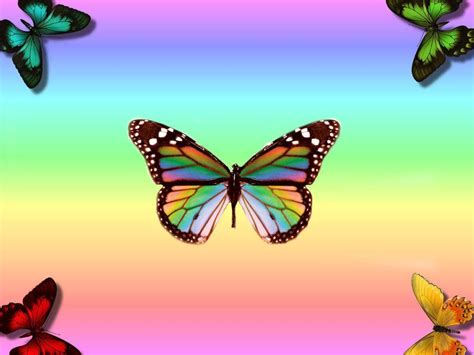 Butterflies Aesthetic Desktop Wallpapers Top Free Butterflies