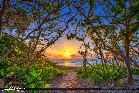 Carlin Park Jupiter Florida Beach Sunrise Royal Stock Photo