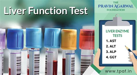 What You Need To Know About The Liver Function Test?