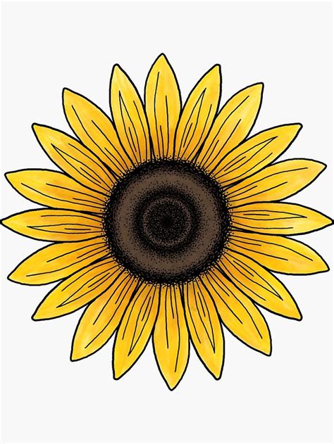Sunflower Stickers Sticker By Mhea Sunflower Coloring Pages